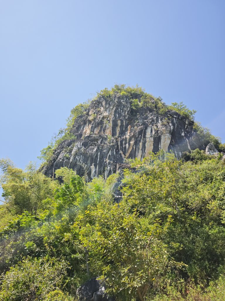 潭水凤凰山森林公园