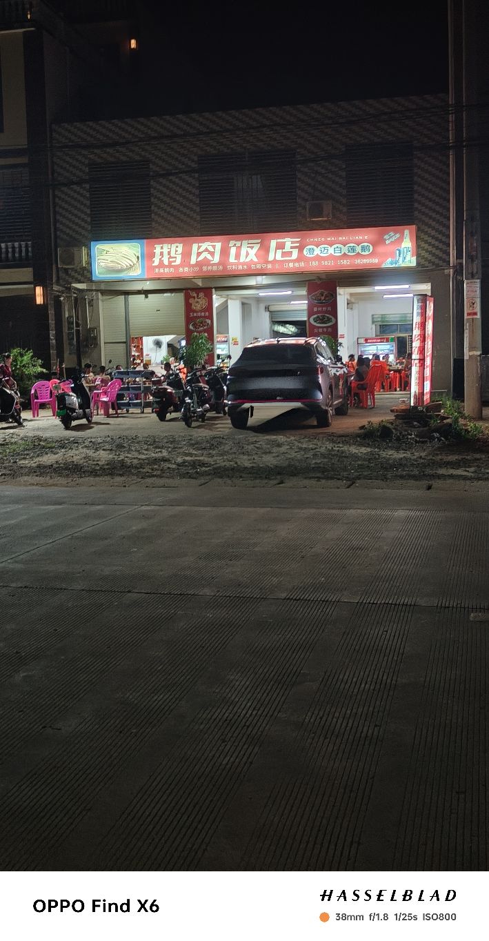 鹅肉饭店