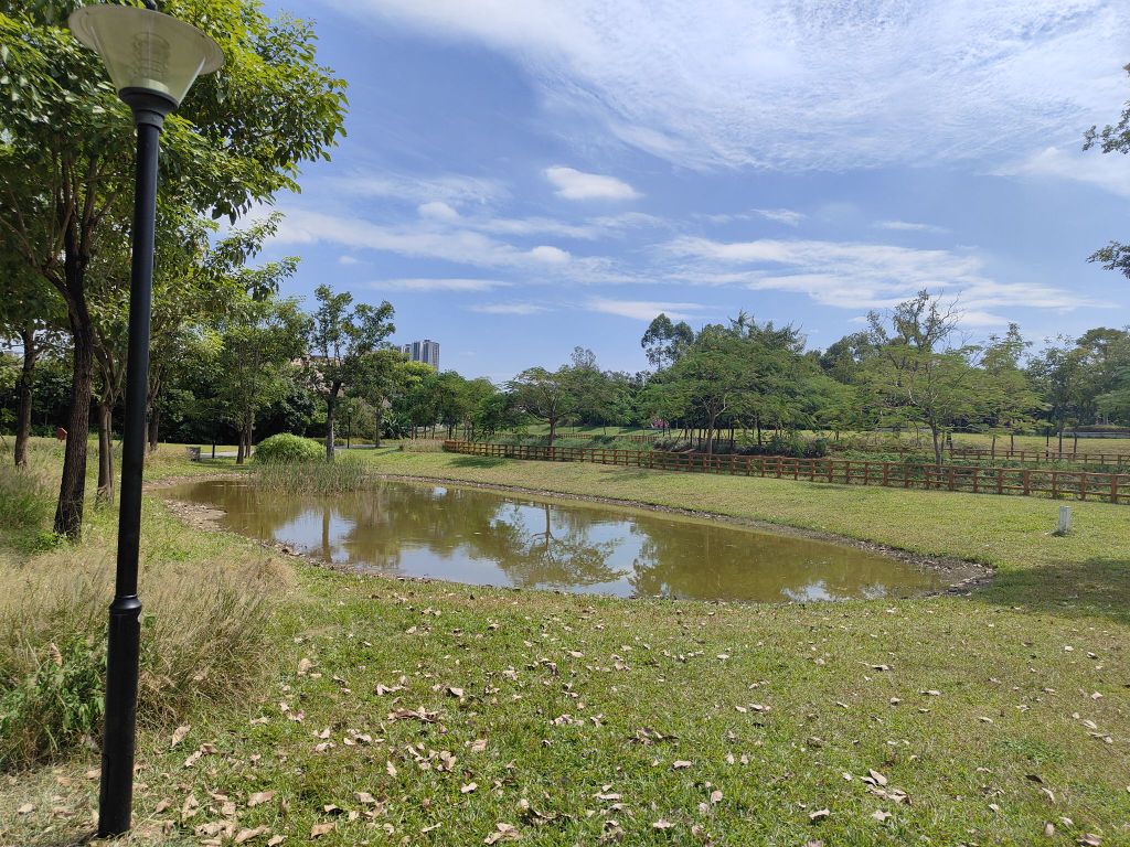 清湖头湿地公园