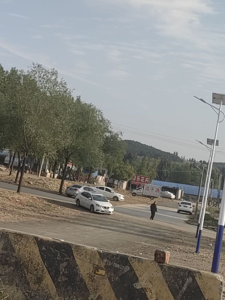 临沂费县大集花卉