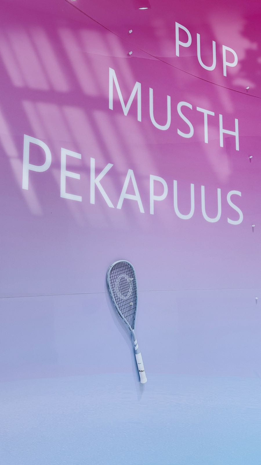 pekapuu皮卡壁球馆