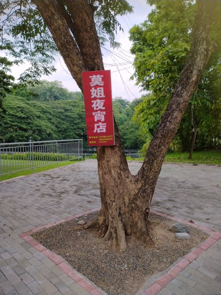 莫姐夜宵店