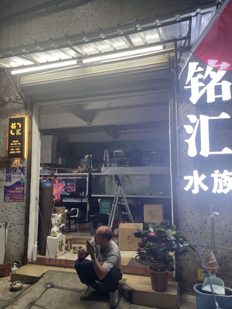 铭汇水族