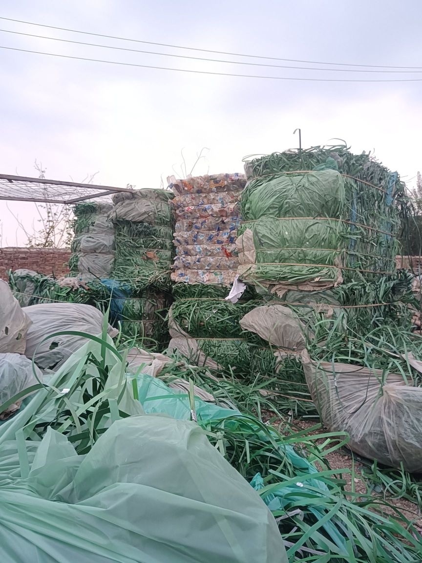 明天废品回收站