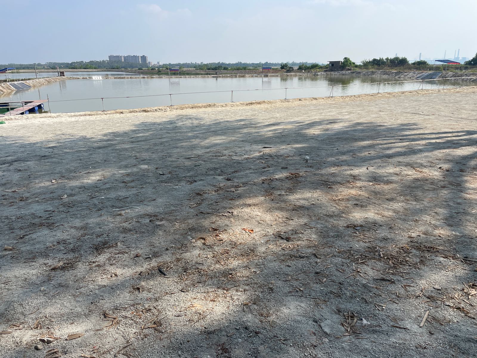 海围特钓场