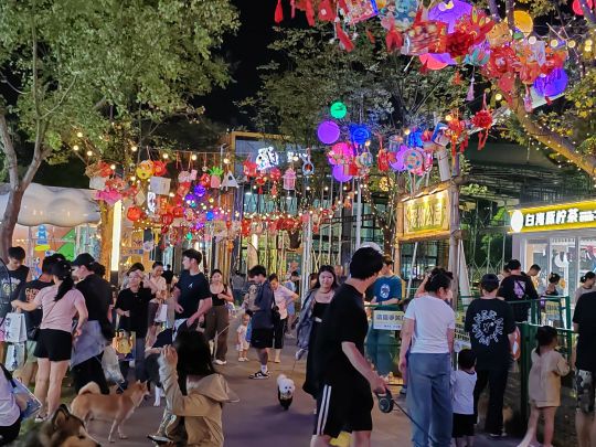 宠物公园