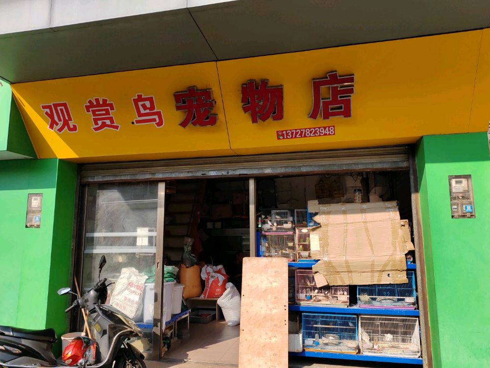 宠物店(观赏鸟)