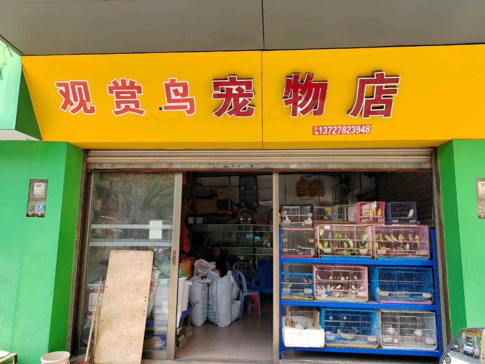 宠物店(观赏鸟)