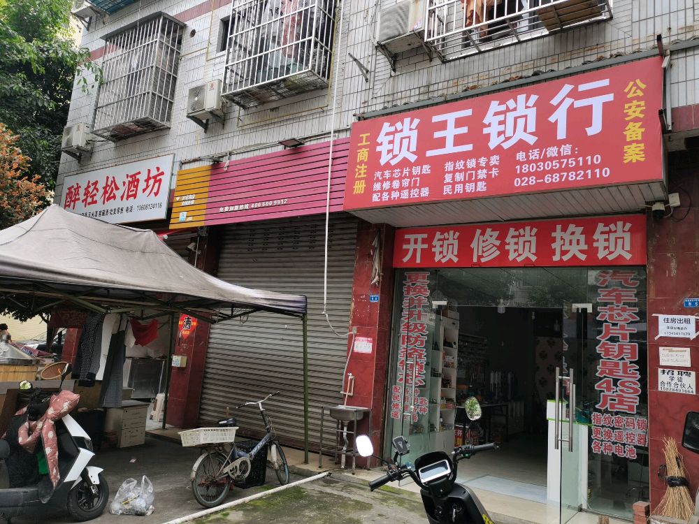 锁王开锁汽车芯片钥匙