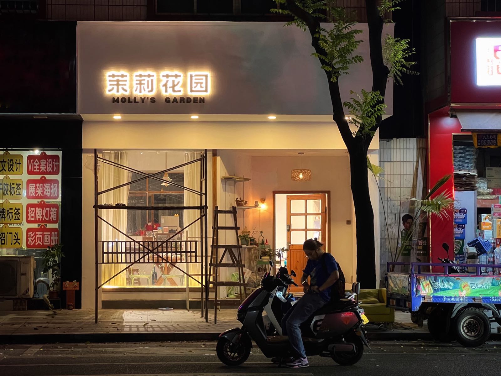 茉莉花园Molly's Garden