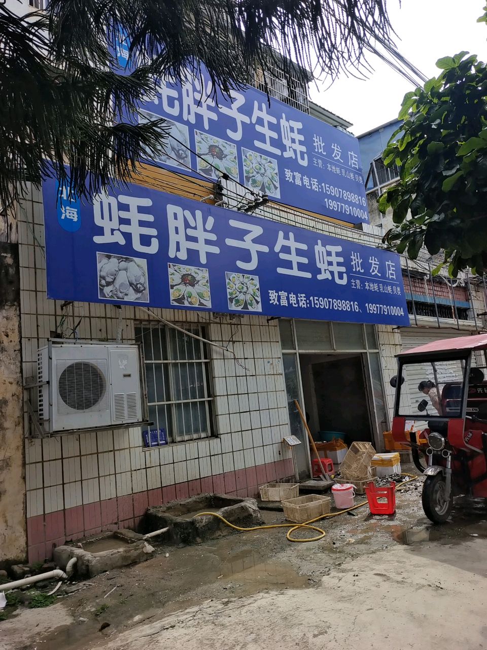 蚝胖子生蚝批发店