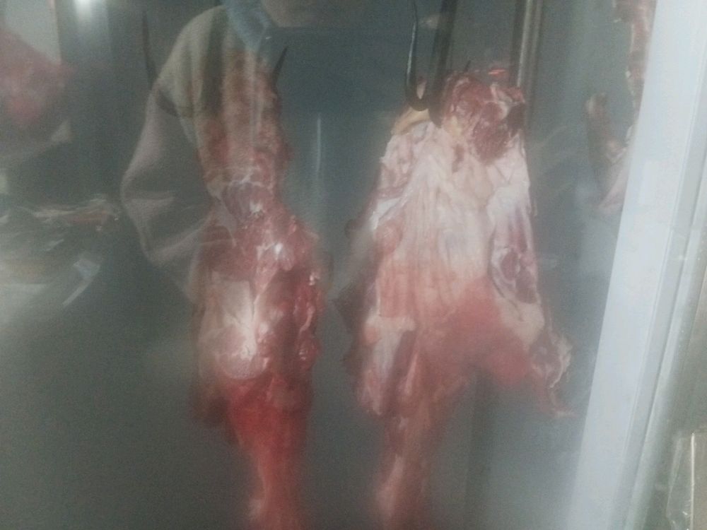 清真羊肉店