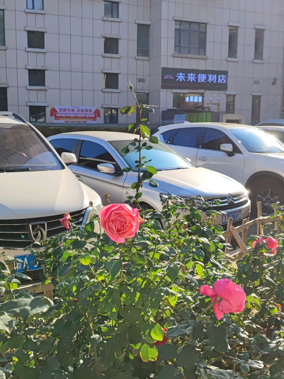 未来便利店(新疆维吾尔自治区交通运输厅六道湾住宅小区店)