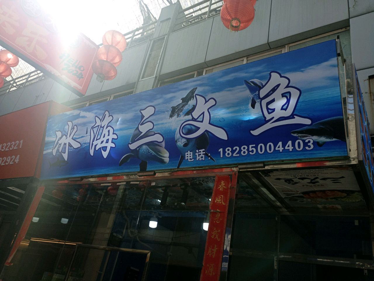 冰海三文鱼