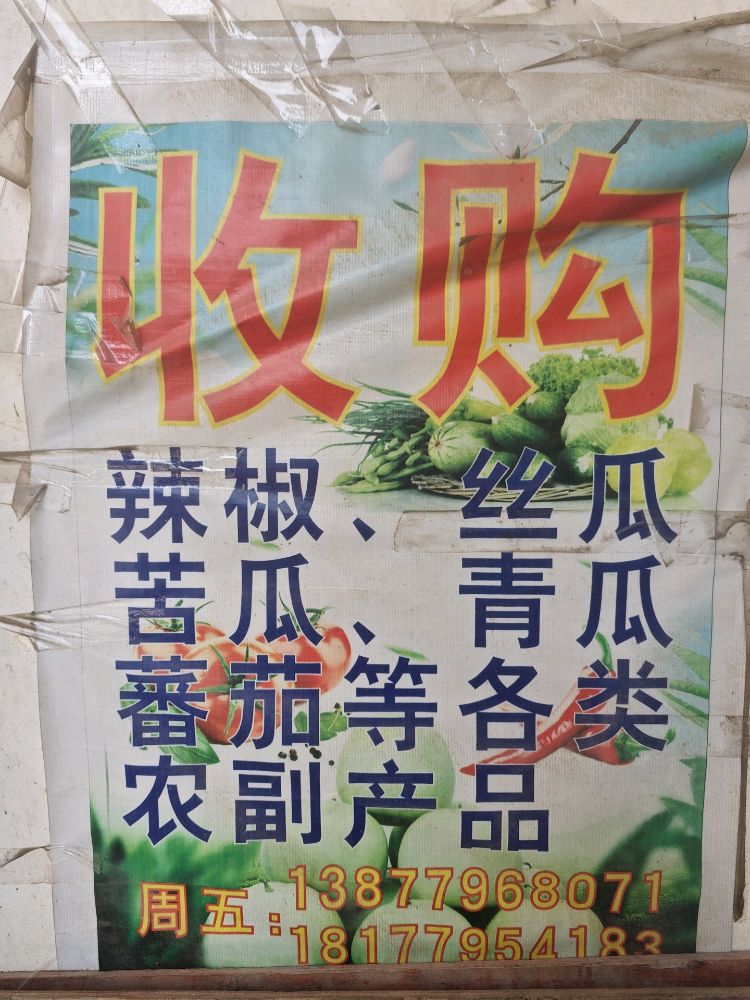周五农副产品收购点