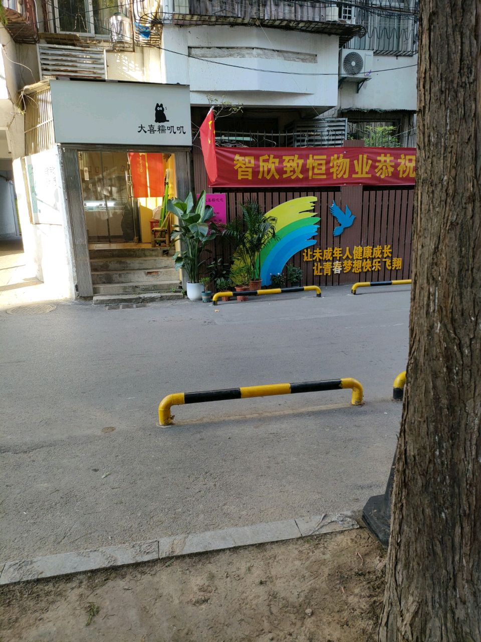 大喜糯叽叽(老市委大院店)