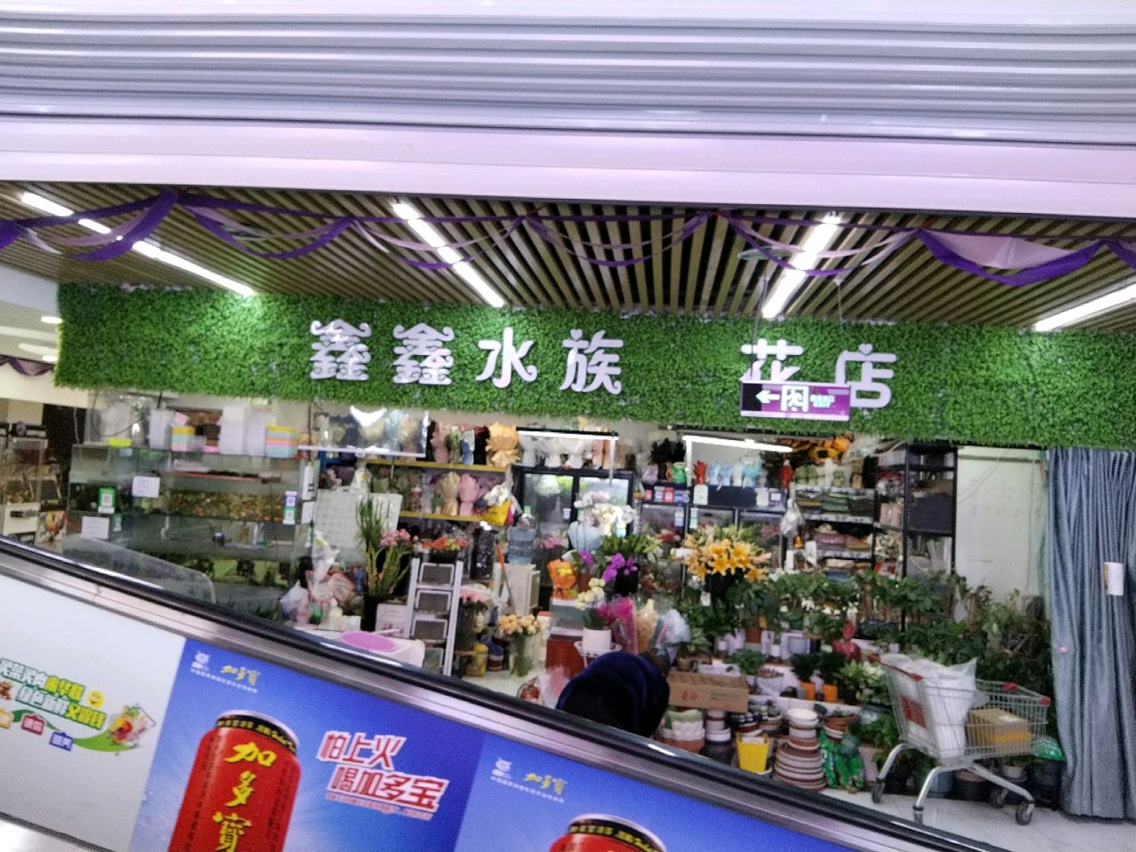 鑫鑫水族花店(华联购物中心店)