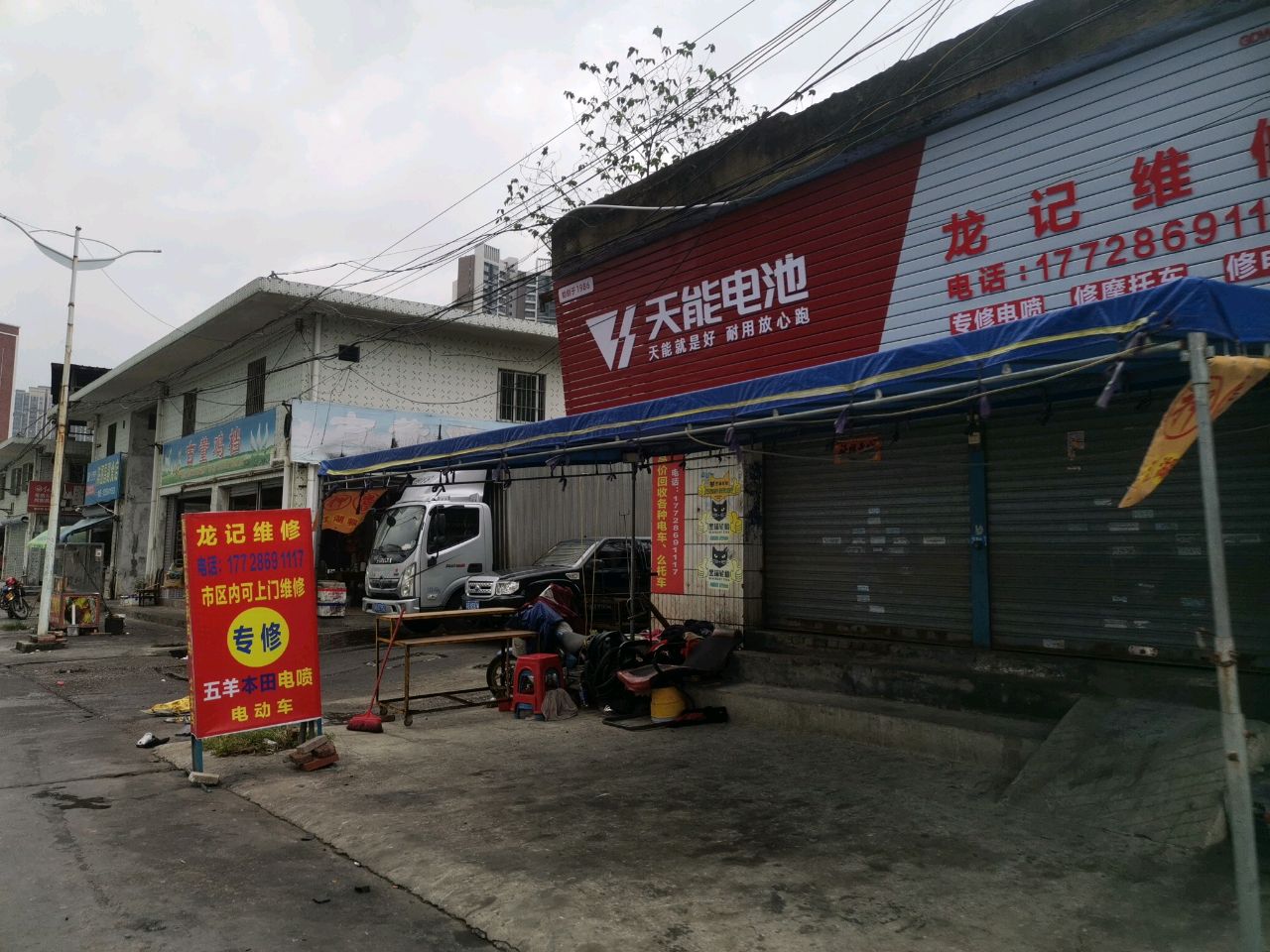 古董鸡档