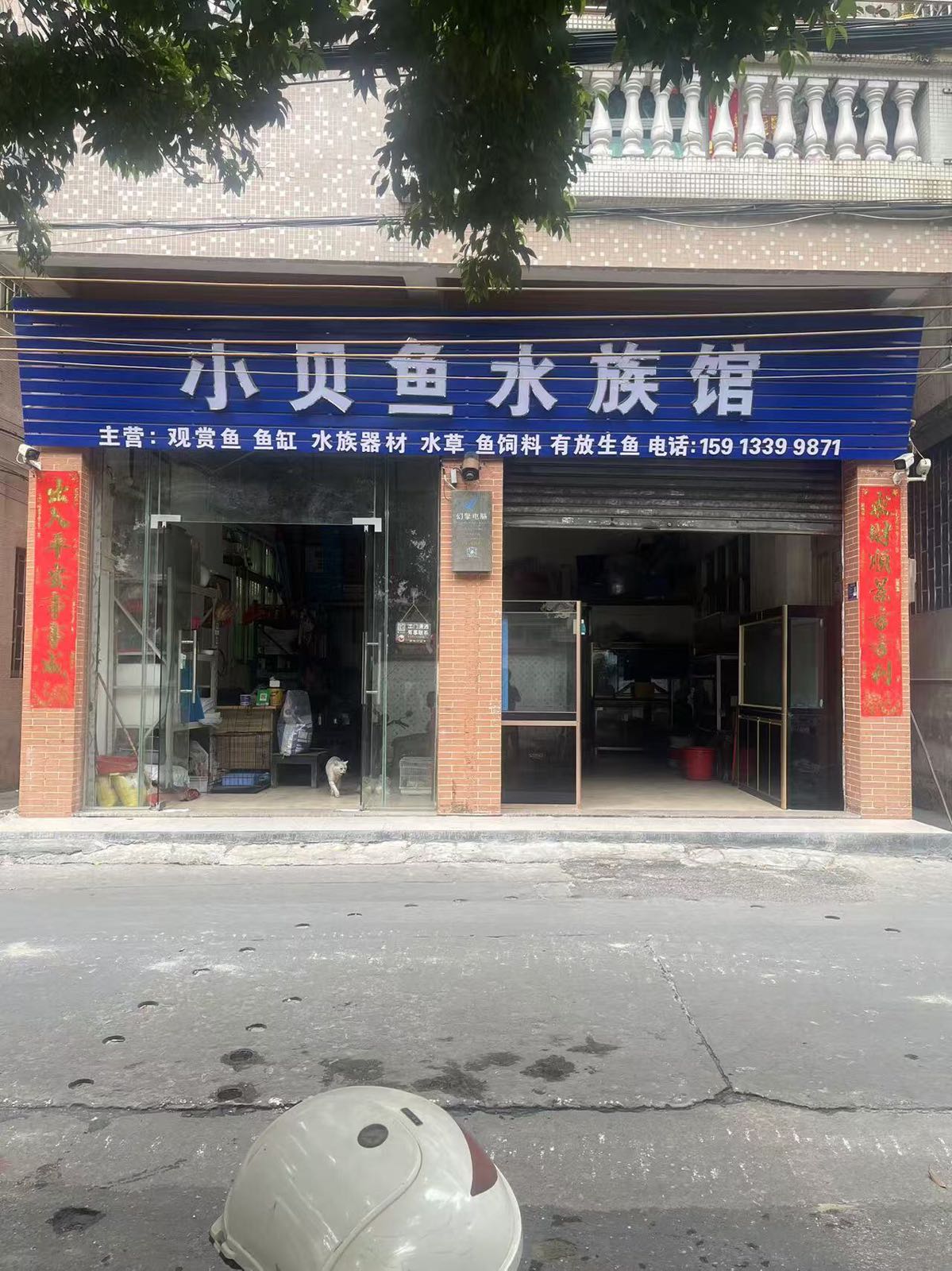 小贝鱼水族馆