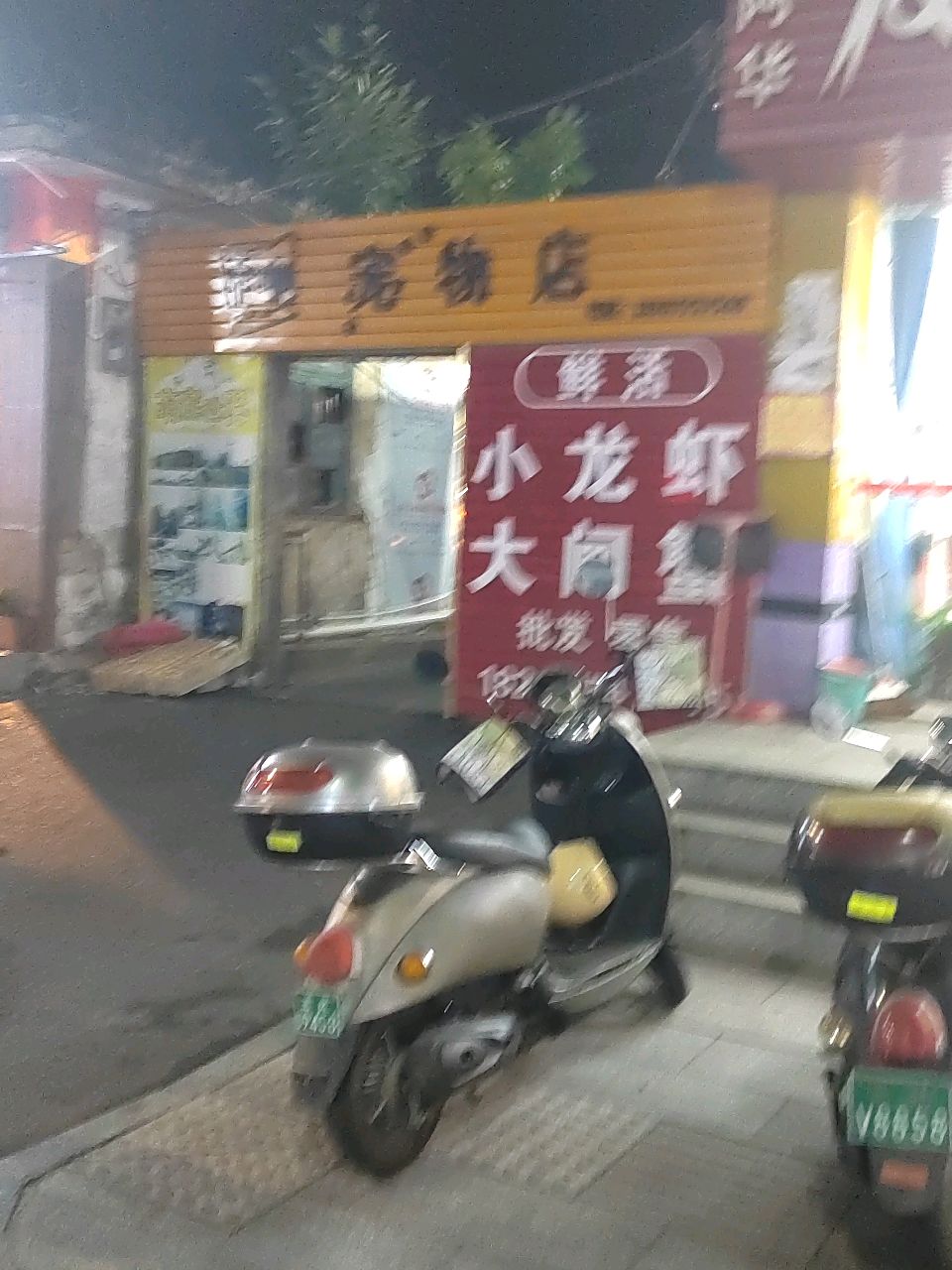 宠咖宠物店