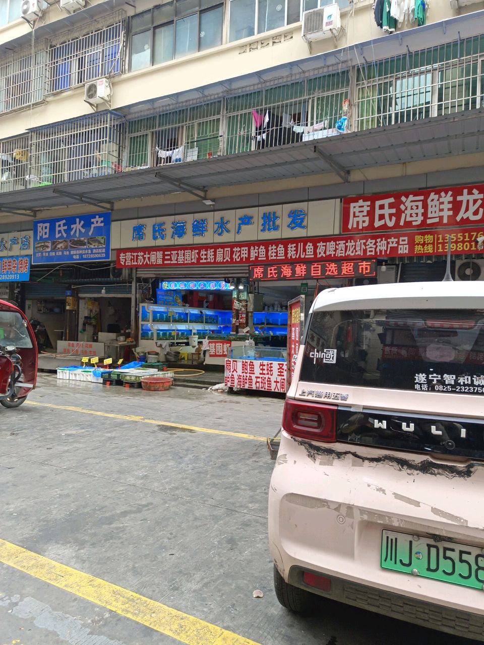 阳氏水产