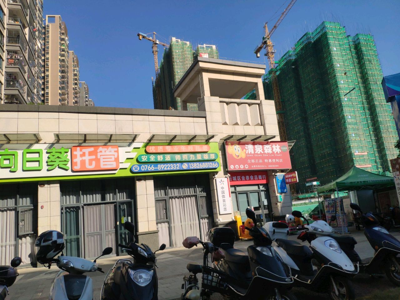 清泉森林