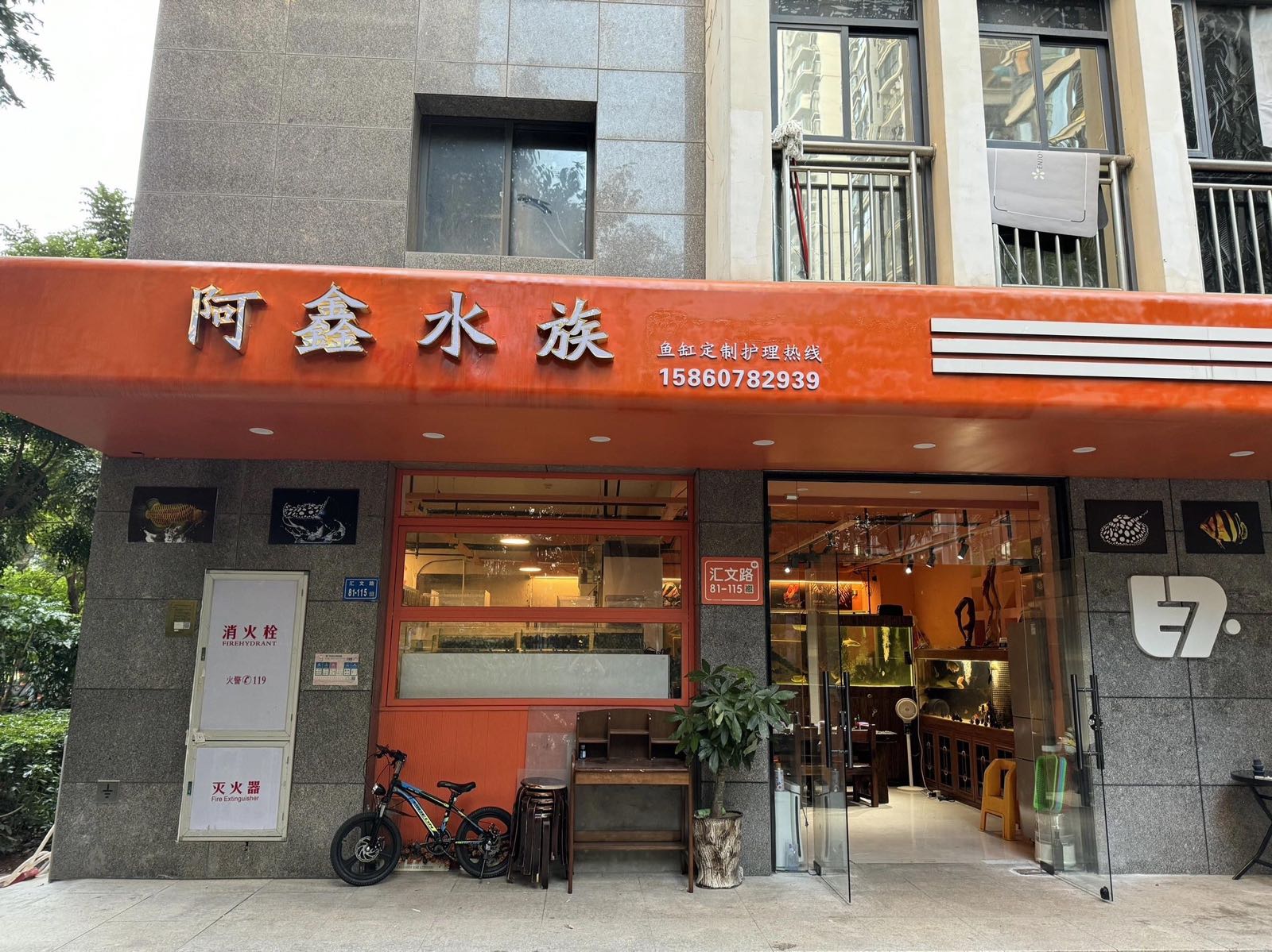 阿鑫水族
