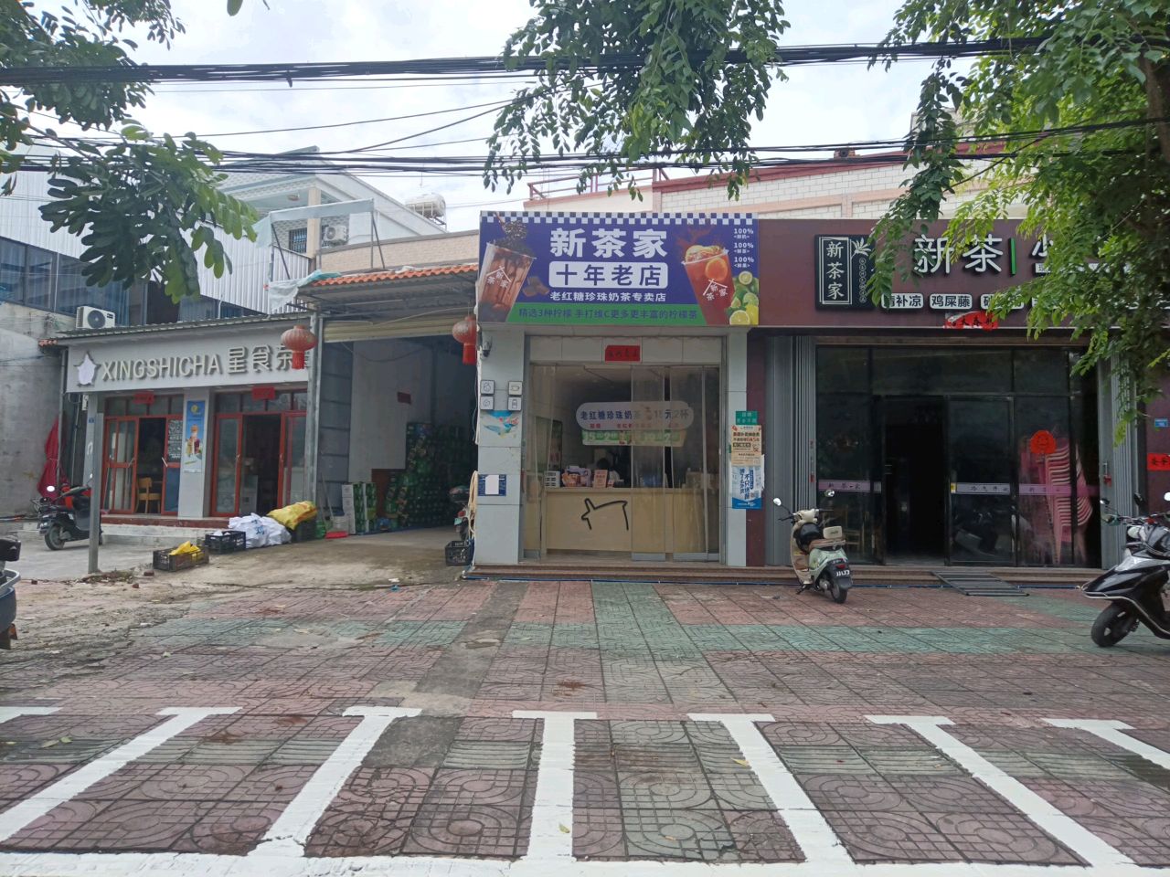 新茶家
