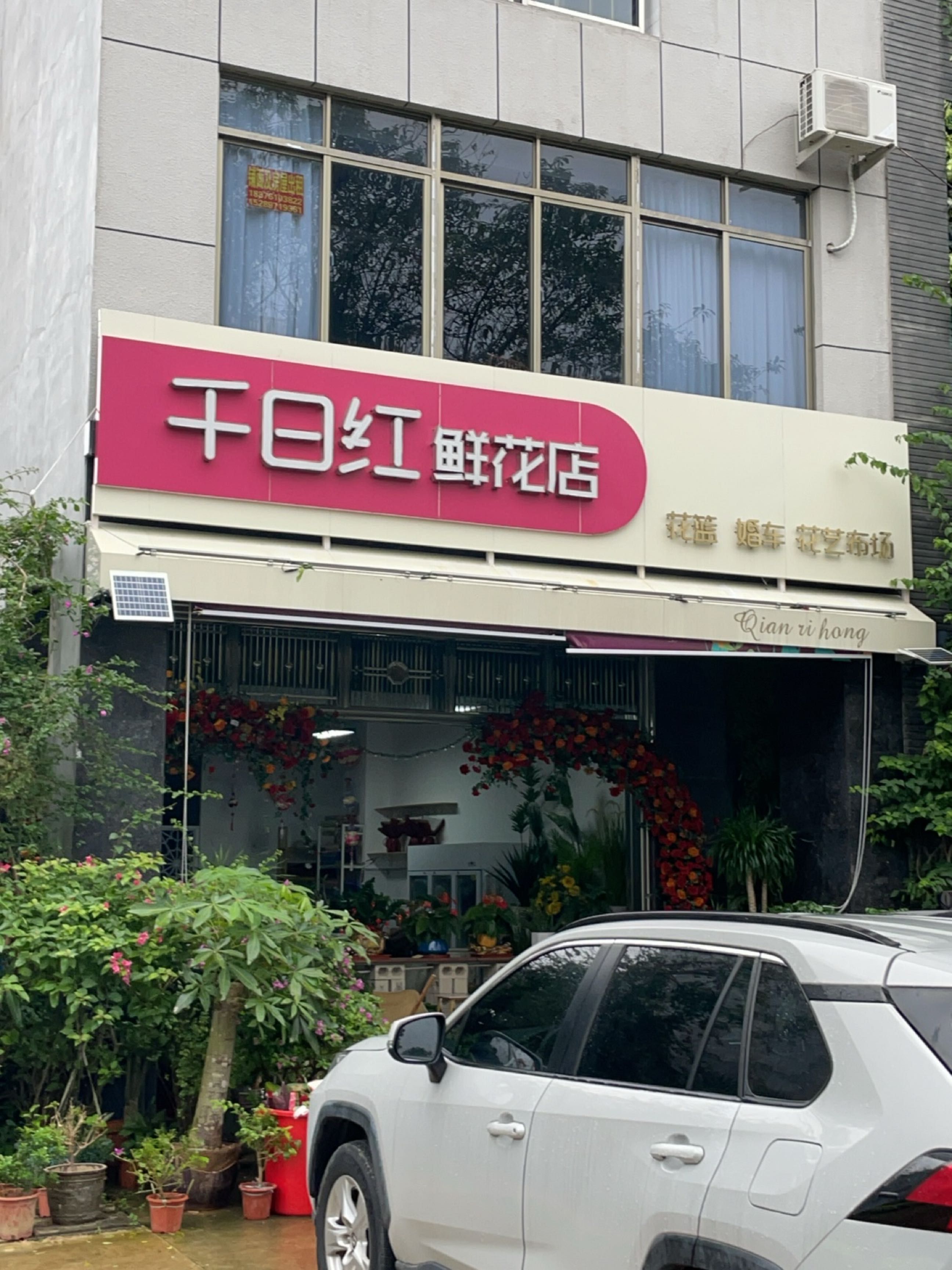 千日红鲜花店