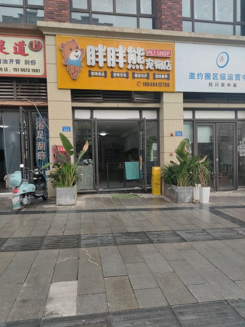 胖胖熊宠物店