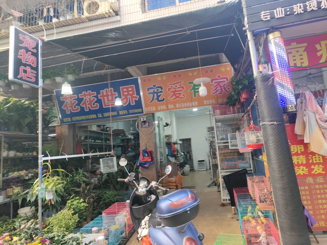 宠爱有家