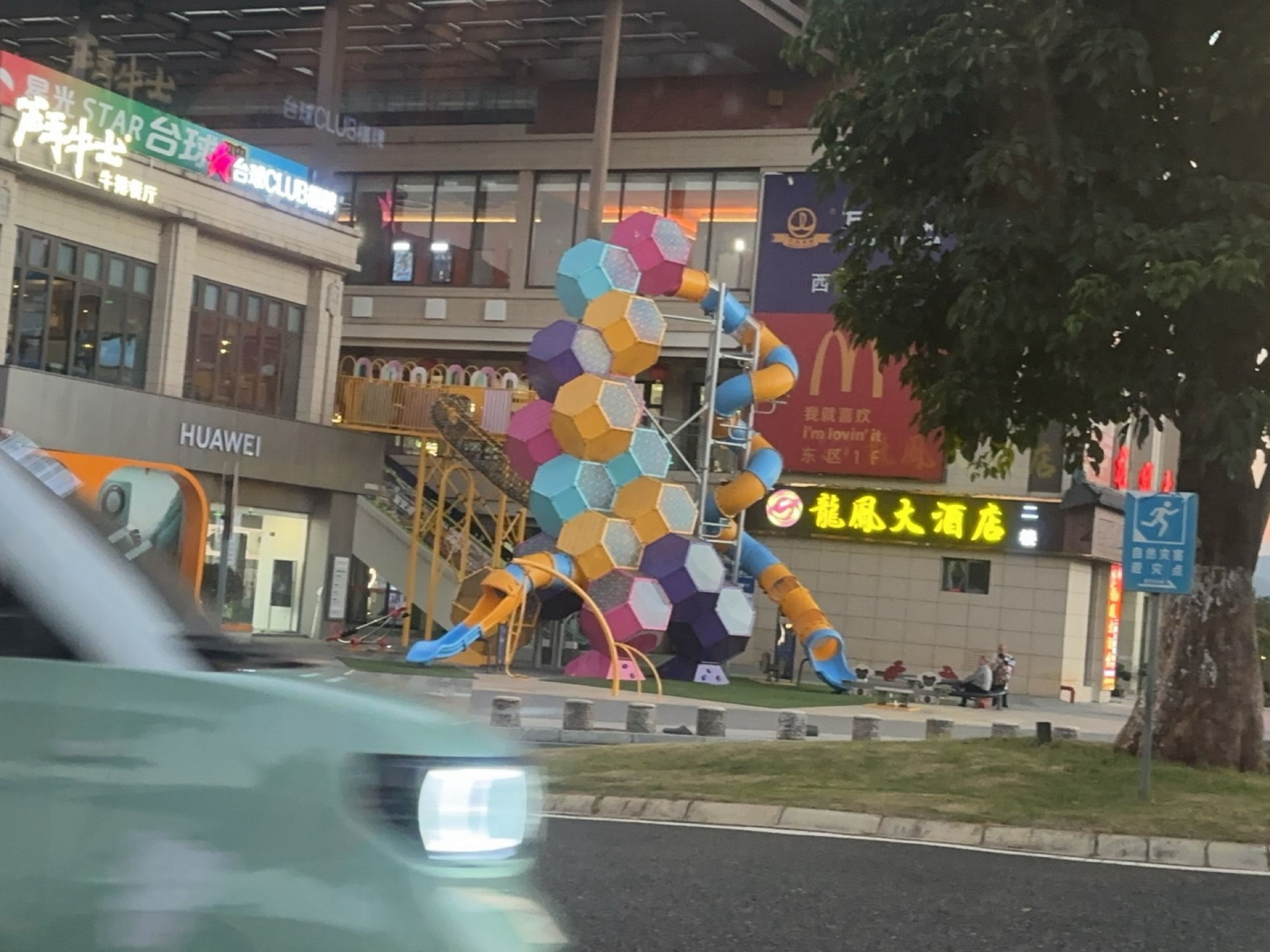 龙凤大酒店(紫金山店)