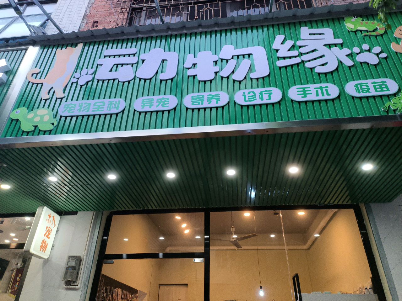 云动物缘