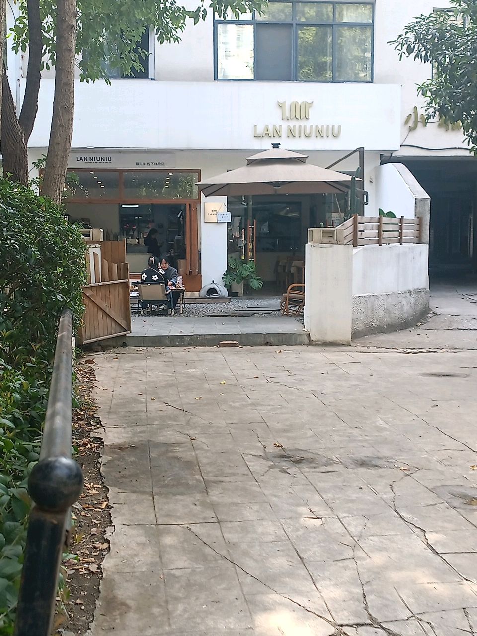 LAN NIU NIU懒牛牛