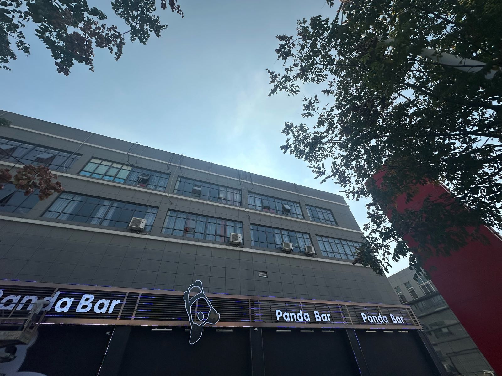 Panda Bar(熊猫酒吧)