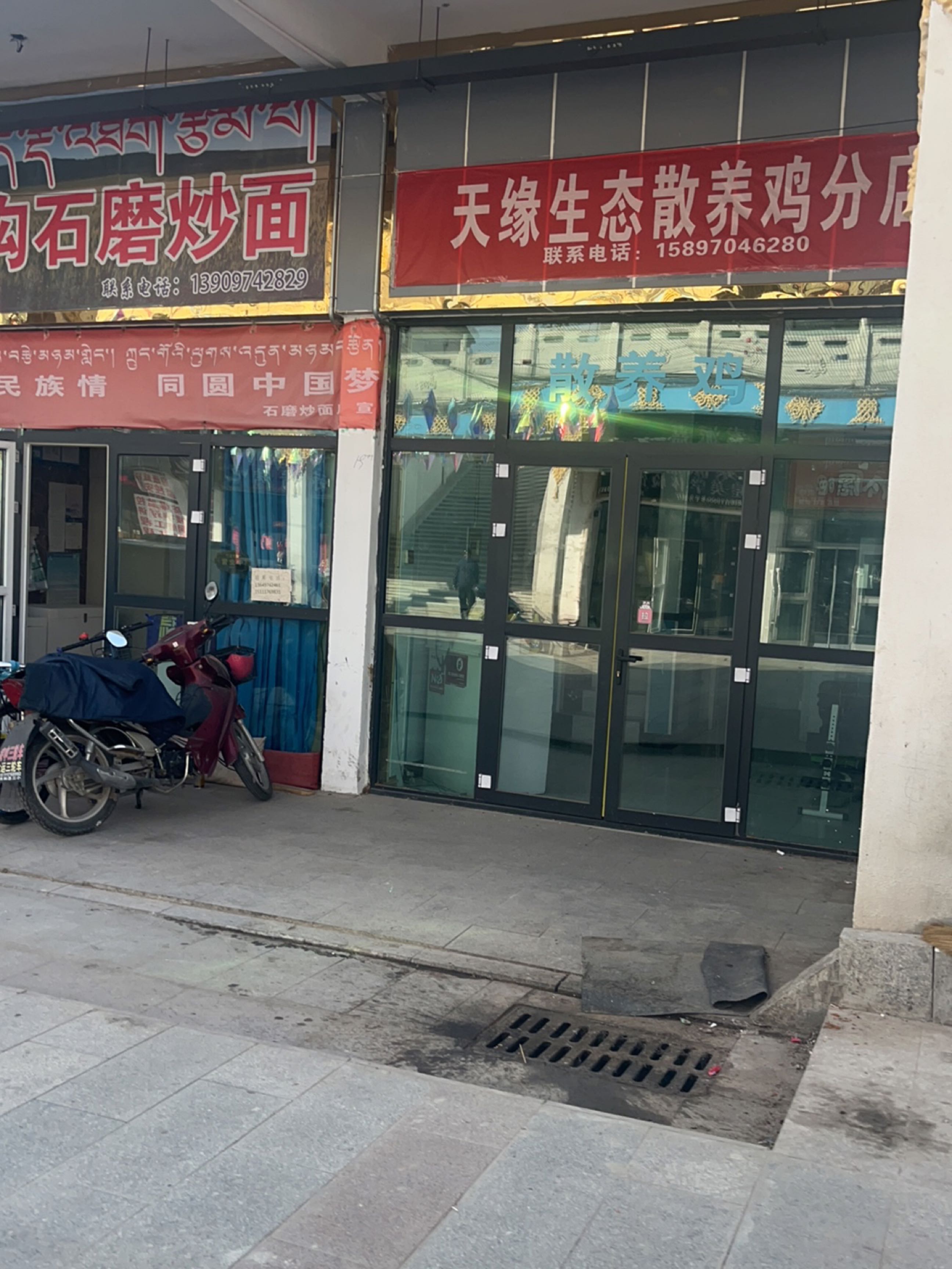 天缘生态散养鸡分店
