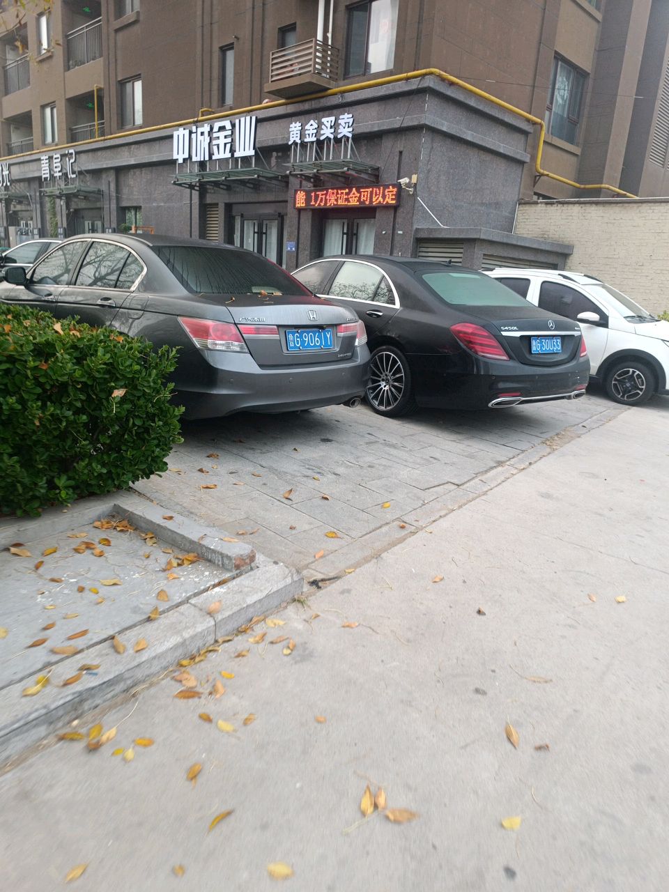 中诚金业