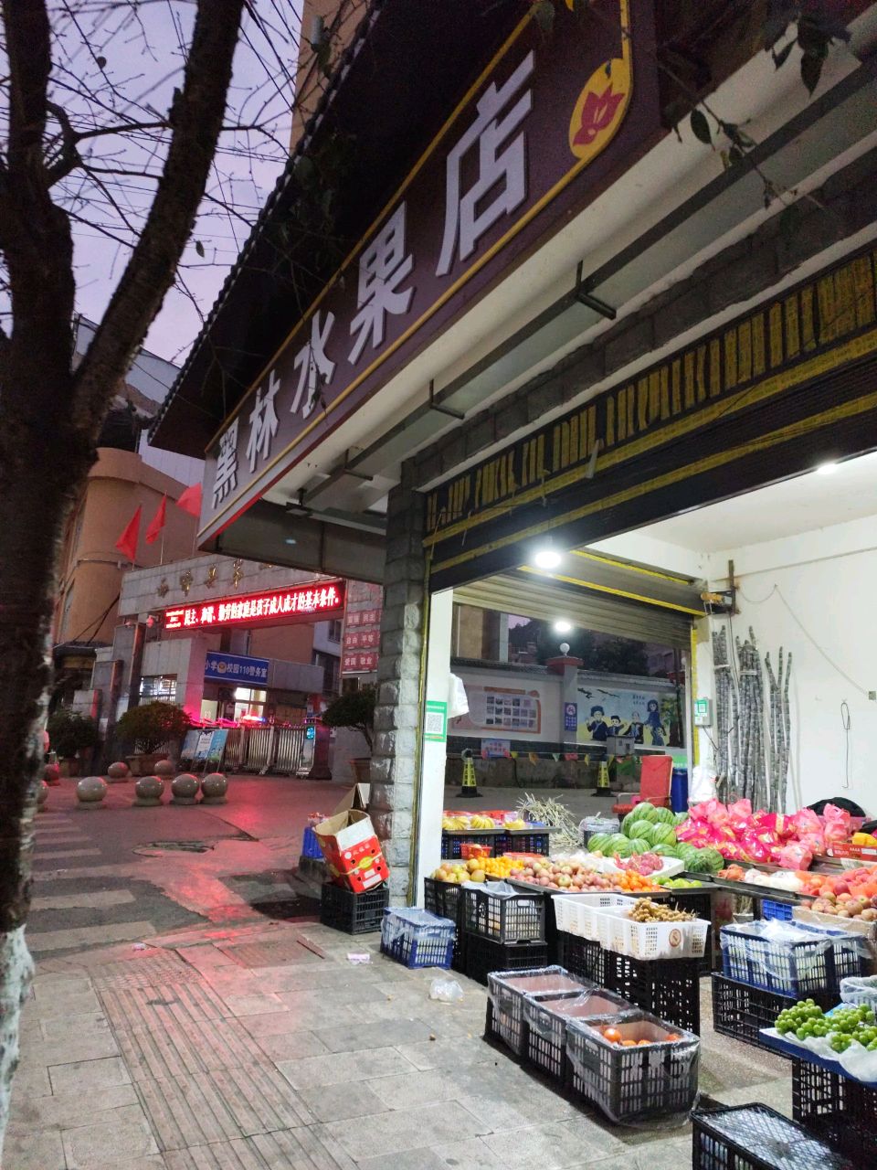黑林水果店