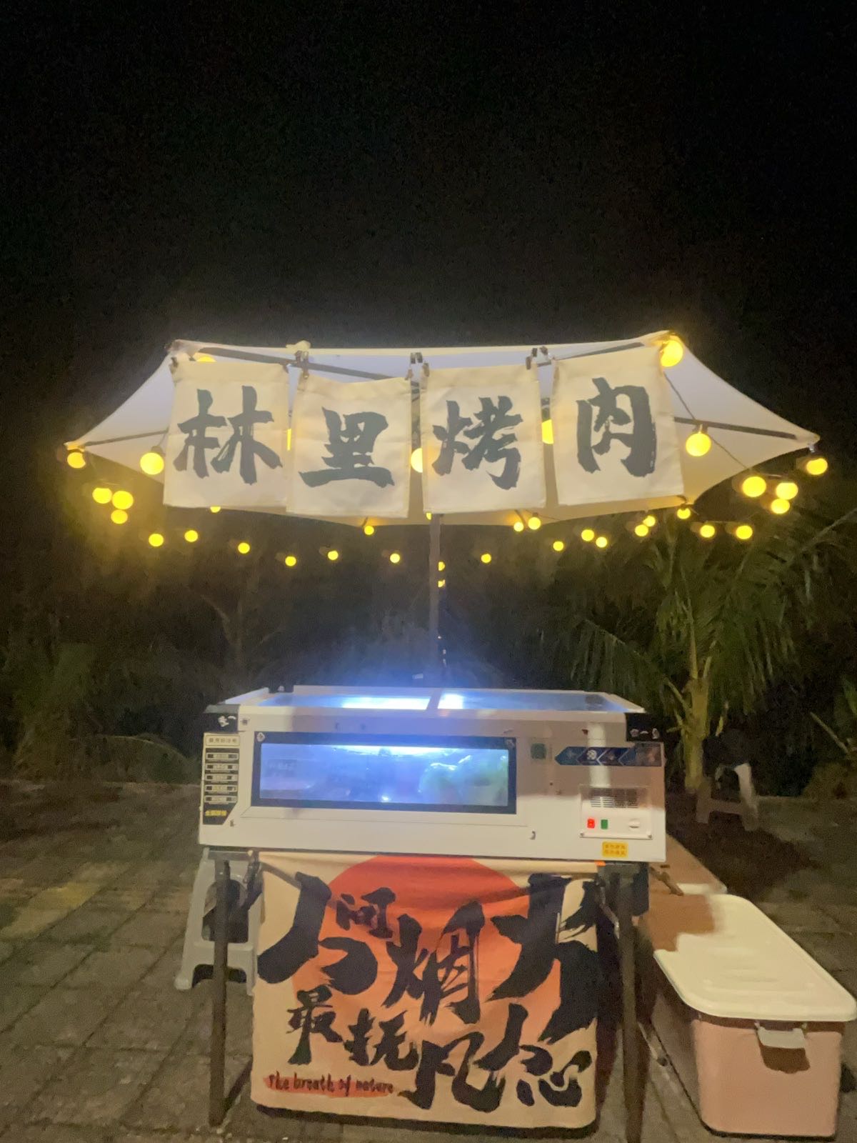 霞洞林里烤肉