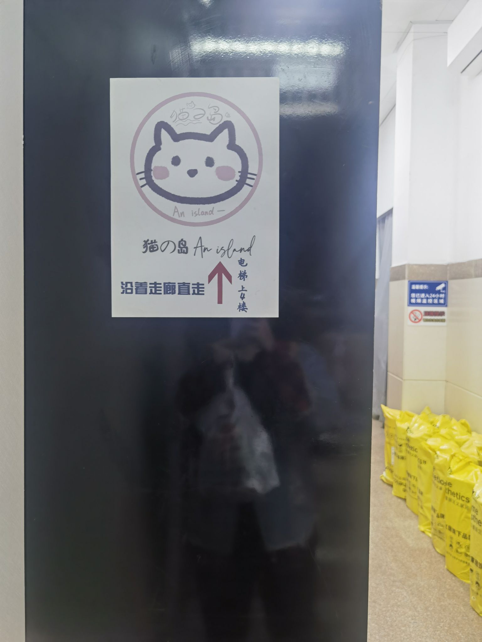 猫的岛An island