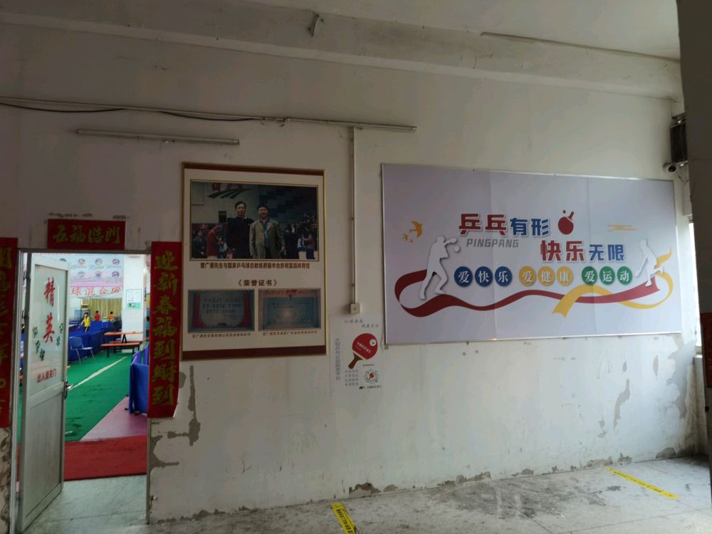 菁英乒乓球