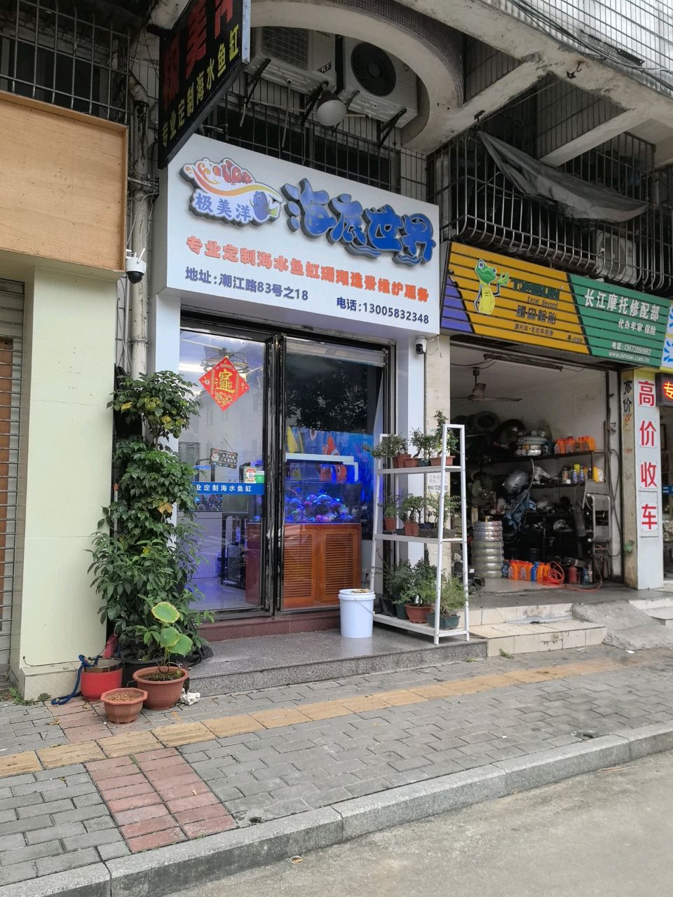 极美洋海底世界