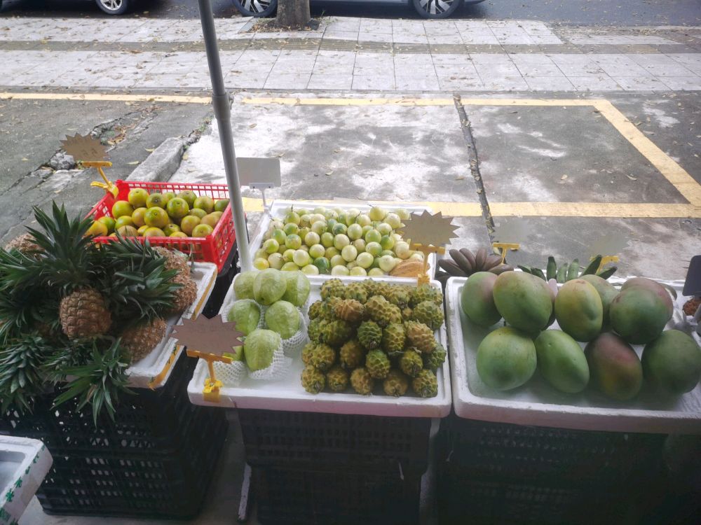 晓娟海南热带水果店