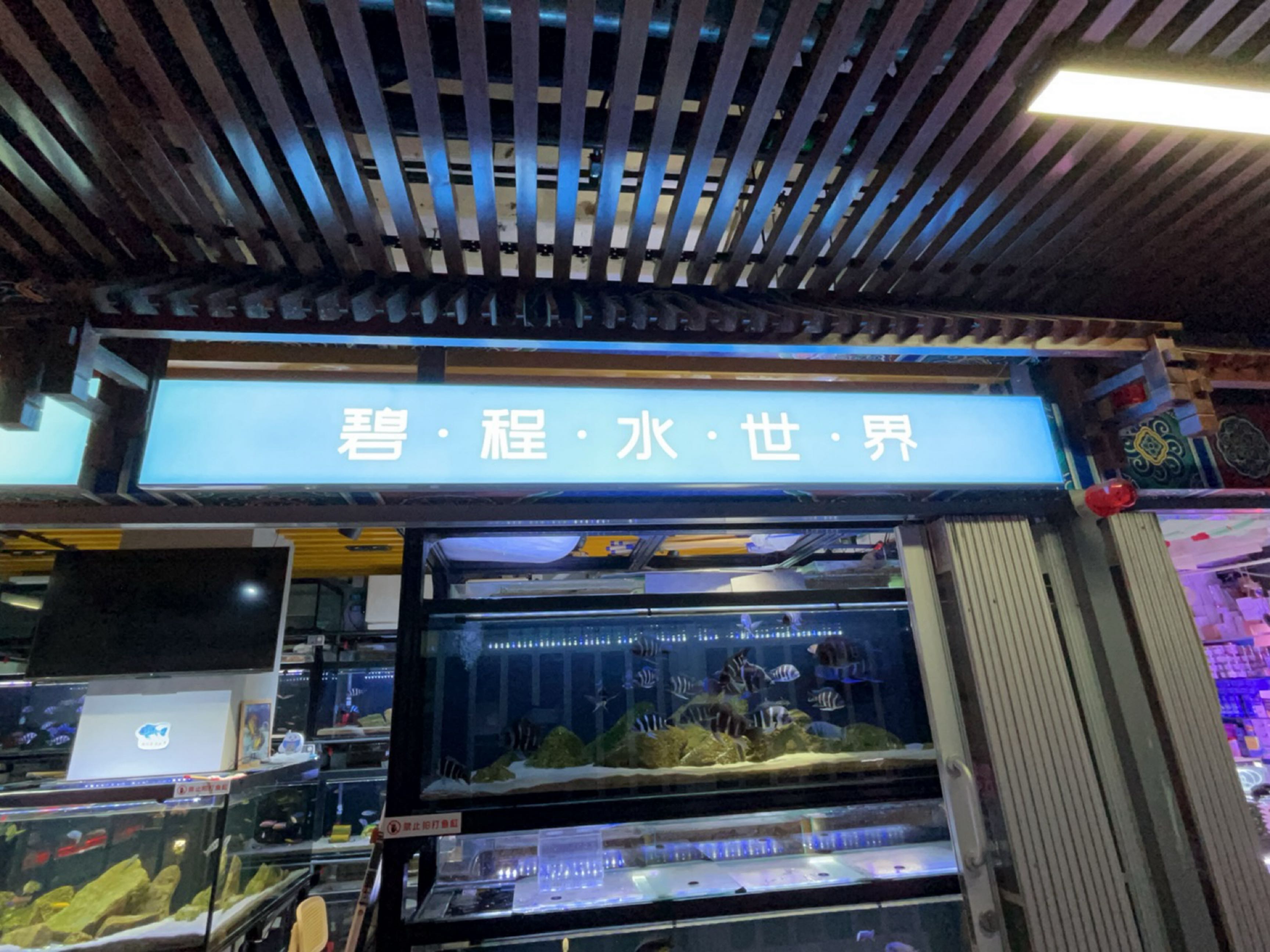 碧程水世界