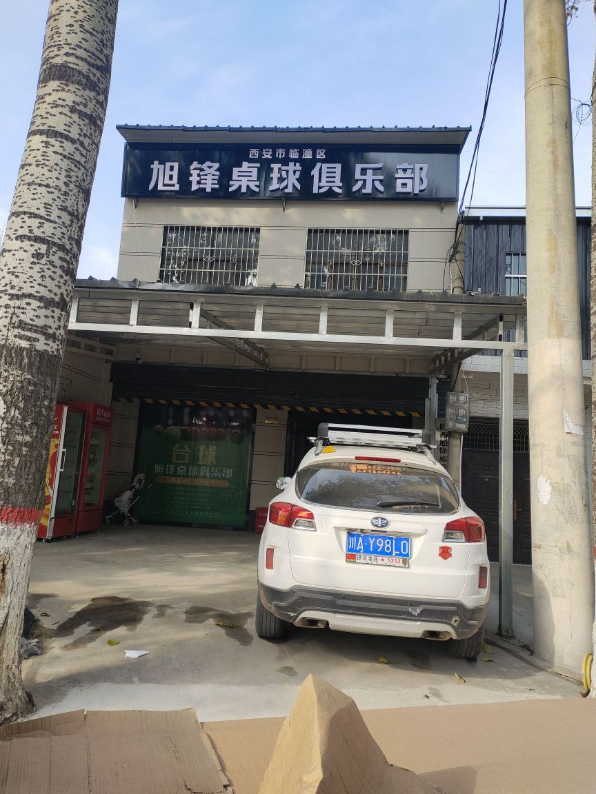 旭锋桌球俱乐部