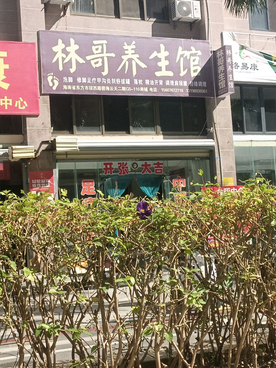 林哥养生