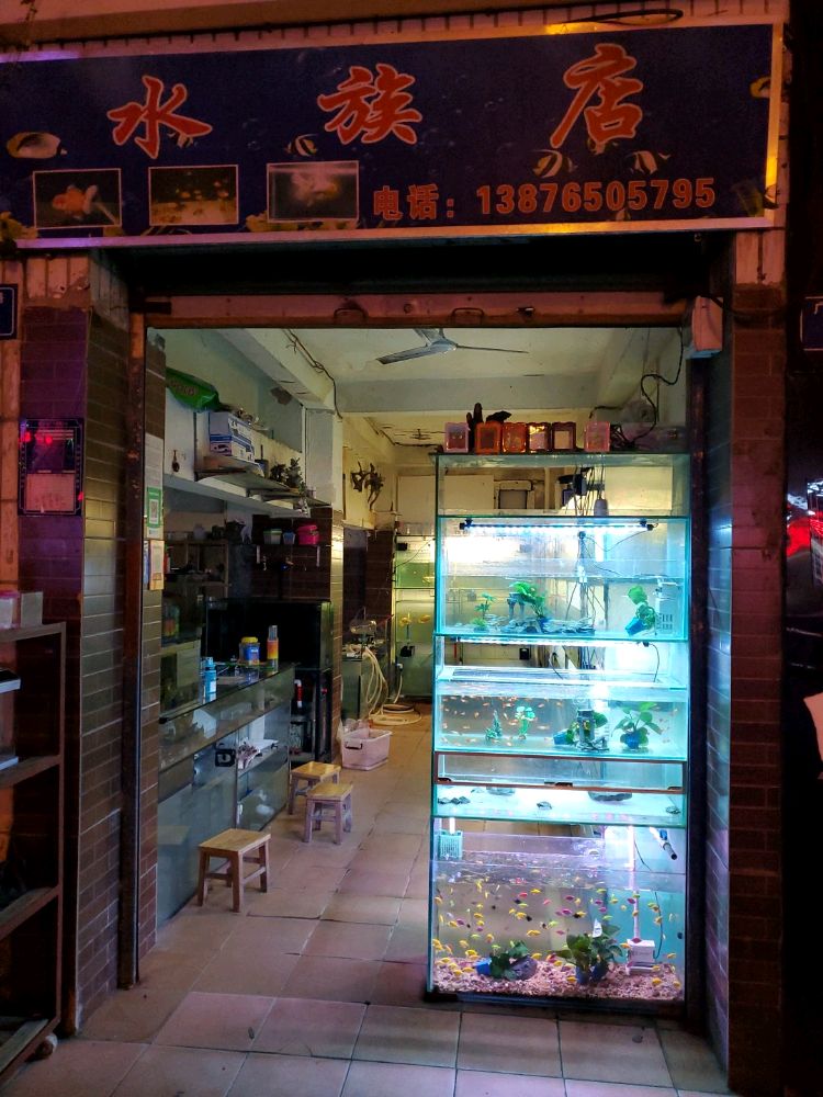 五指山水族店