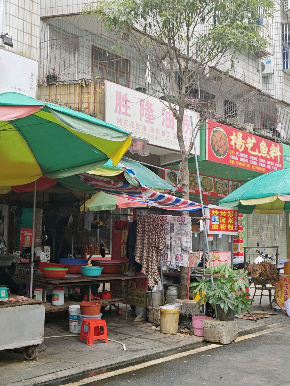 杨艺鱼料(小曾鱼料分店)