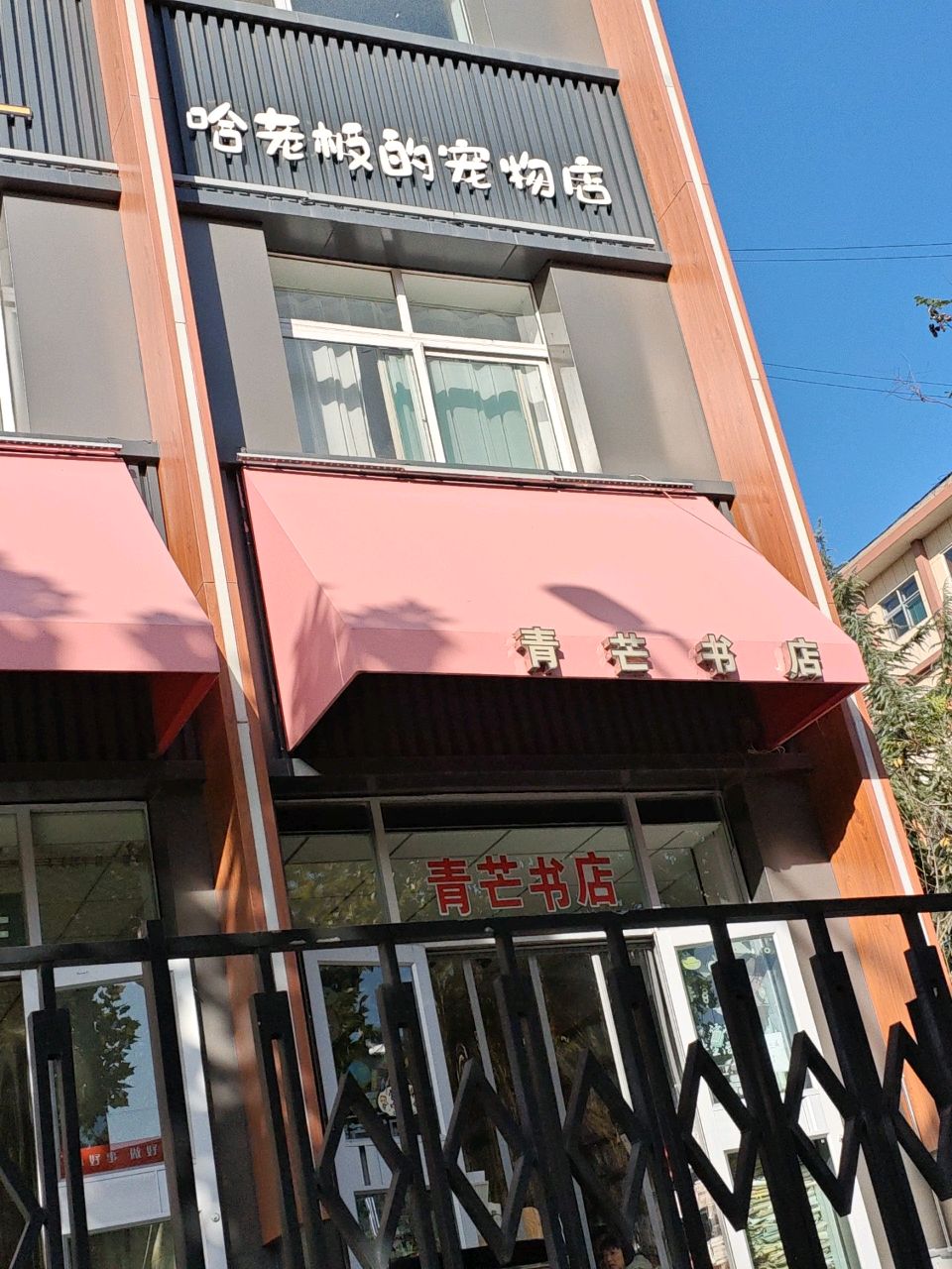 青芒书店