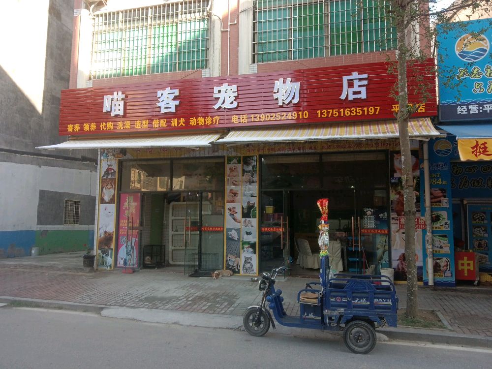 喵客宠物店